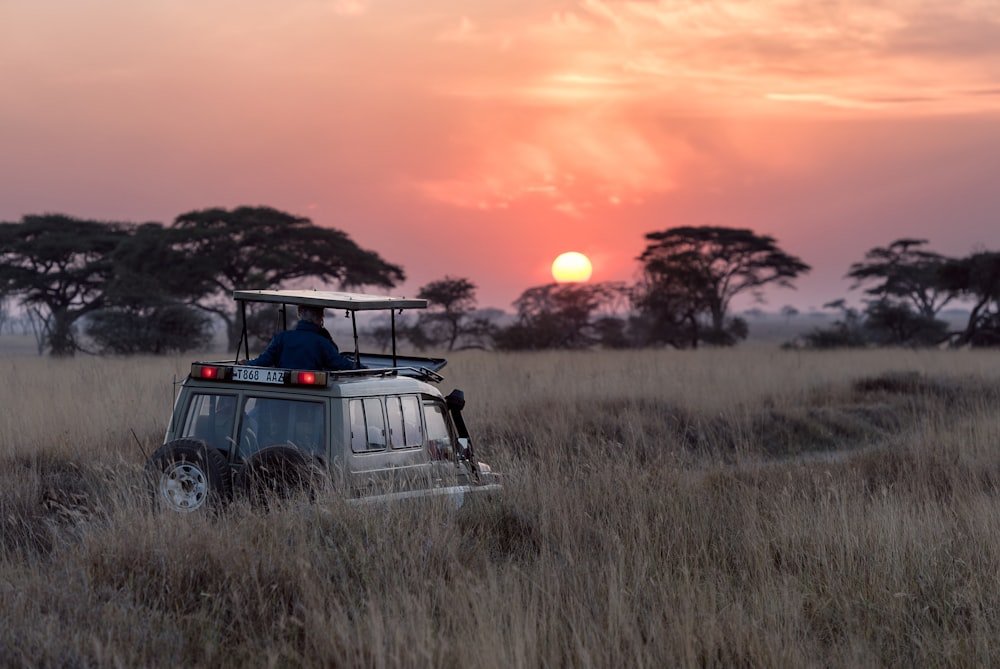 Aquila Safari from Cape Town – Private Big Five Full-Day Tour 🦁 tour scenery